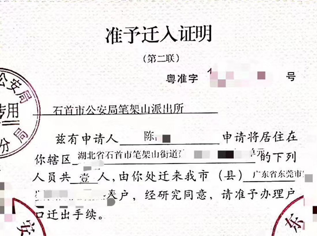成功案例11